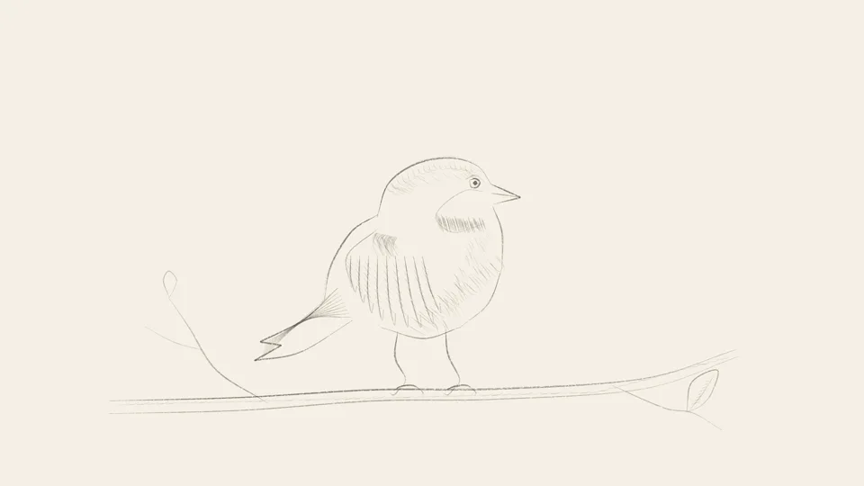 Pencil-style bird animation example